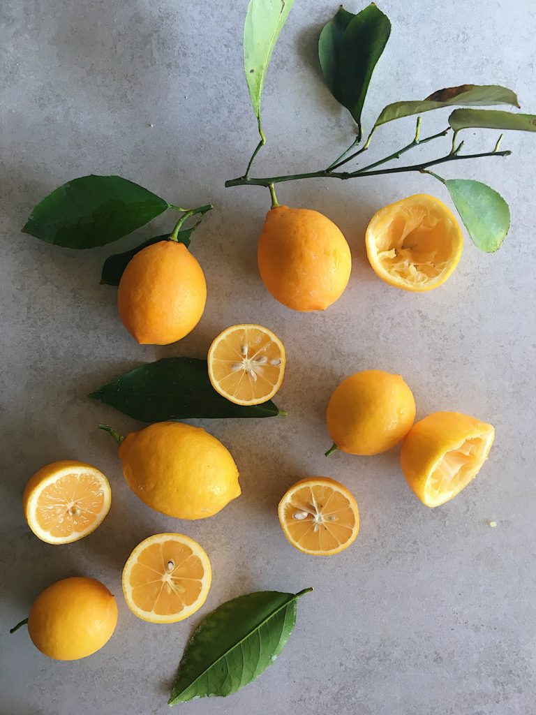 Meyer Lemon Tart with Shortbread Crust