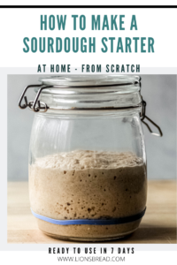 how to make a sourdough starter