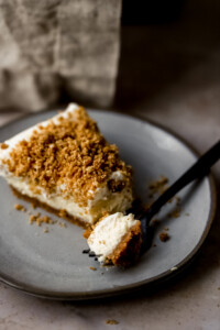 creamy-yogurt-cheesecake-18