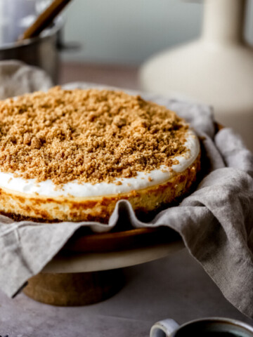 creamy-yogurt-cheesecake-10-2