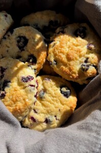 Wild Blueberry Scones