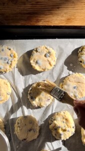 Wild Blueberry Scones