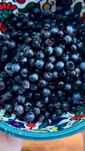 Wild Blueberry Scones