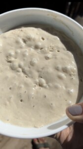 Harvest Bread with Poolish