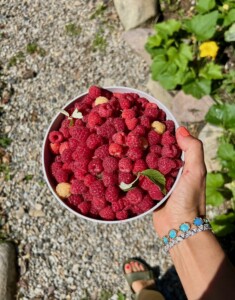 Jammy Raspberry Crumb Bars