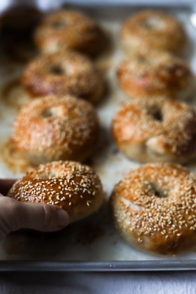 easy-sourdough-bagels