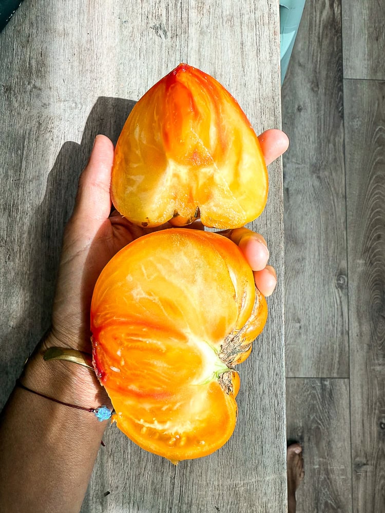sourdough-focaccia-with-tomatoes-rosemary-and-garlic-2